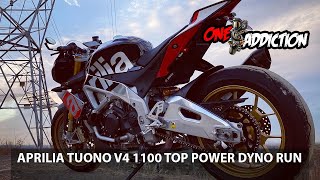 Aprilia Tuono V4 1100 Factory | Top Power Dyno Run | Motorcycles