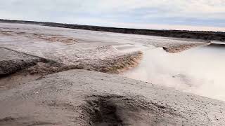 Tidal bore up close at Hall’s creek, Moncton NB, Canada. February 13, 2024.