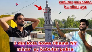 Chama NY minar sy 3 din rola hua kabutar pakra kabutar mukhalifo ka nikal aya