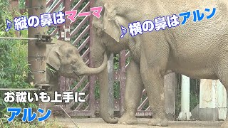 ♪縦の鼻はマーマ　横の鼻はアルン　2022年7月13日後編