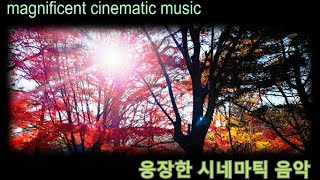 가을과 잘 어울리는 웅장한 시네마틱 음악 Magnificent cinematic music that goes well with autumn