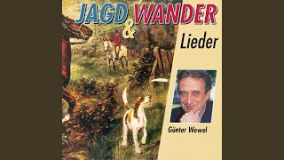 Und Ewig Rauschen Die Wälder