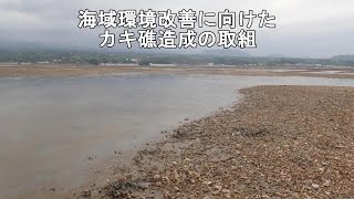 海域環境改善に向けたカキ礁造成の取組