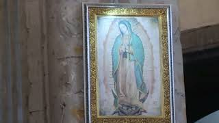 멕시코_과달루페의 성모성당(Basilica de Santa Maria de Guadalupe)_멕시코시티(Mexico City)_2024.0827