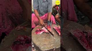 KASIMEDU FISH CUTTING VIDEO / cutting focus #bigfishcutting #bigfish #shotrs