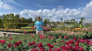 Nursery buyer Damon Hallbeck, showcasing Fall 2021 plants at TGU Brittmoore.