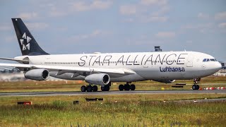 4K Afternoon Rush at Frankfurt Airport