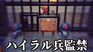 序盤の『ハイラル兵』が守っている扉を無理やり突破した。【ゼルダの伝説 知恵のかりもの】