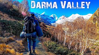 Panchachuli Base Camp Track In Winter || Almost Dead 😧 || Himalayan Traveler