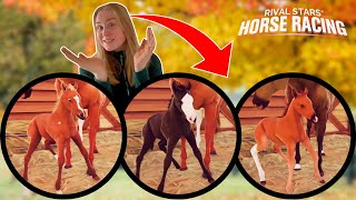 AVLER AMOK?! | Dansk Rival Star Horse Racing #11