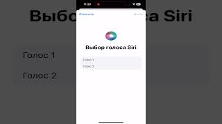 Siri и поиск в iPhone 15