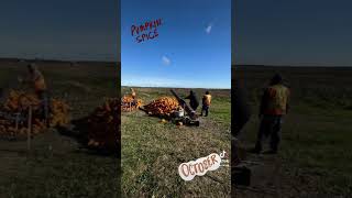 Jean-Luc and Nick - Pumpkin Cannon at Leisure Farm