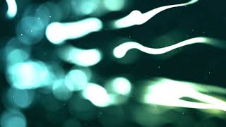 Bokeh Circles, Flying Dust, Smooth Waves on Atmospheric Dark Blue Background. Relaxing Screensaver.