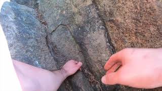 Steep section at Breakneck Ridge