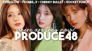 produce48: where are they now? (everglow, cherry bullet, rocket punch, fromis9...)