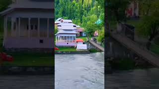 A Paradise in Kashmir || HIDDEN BEAUTY OF TAOBAT BALA || Top Kashmir YouTube channel videos ever