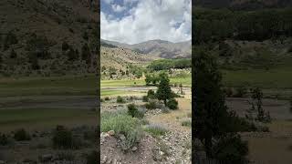 #nature #agriculturefarming #afghanistanfoodagriculture #viralvideo #viralshorts