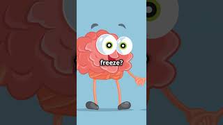 Bizarre and Hilarious Facts About the Human Brain!