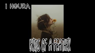 Billie Eilish - BIRDS OF A FEATHER [ 1 HOUR ]