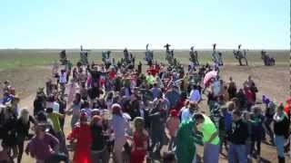 Caddy Ranch Harlem Shake