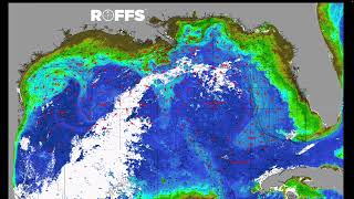 Gulf of Mexico Ocean Conditions Update - 10/08/2024