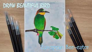 Draw Beautiful Birds | European Bee-eater (Merops Apiaster) | Easy drawing | Brush pen | DD Art