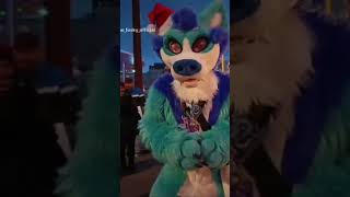 I could have started working in the moviebusiness🤣 Aaand… CUT🤪🤣 #furrychristmas #fursuiting #fun