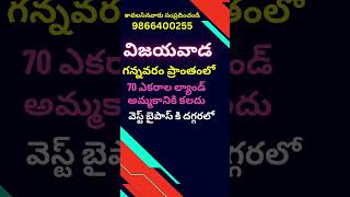 70 Acres Land For Sale in Gannavaram, Vijayawada | Amaravathi Capital |Amaravati| 9866400255 #shorts