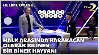 Halk arasında karakaçan olarak bilinen bir binek hayvanı | Kelime Oyunu