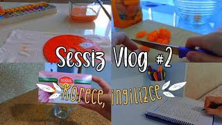 Sessiz Vlog #2 🍯💖 | Nisaa and Coffee