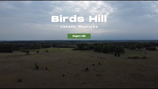 Pope's Hill, Birds Hill Provincial Park | Drone Footage | DJI Mini 2 SE