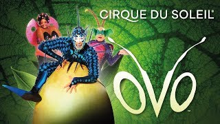 Tour Cirque Du Soleil OVO Guatemala Diciembre 2019|| AVENTOURA EL SALVADOR