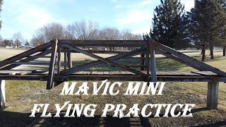 Mavic Mini-Flying Practice