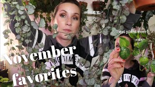 Plant FAVORITES! Plants I Loved in November + YouTuber to check out!