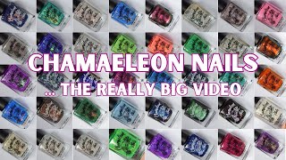 The really big huge massive Chamaeleon Nails video