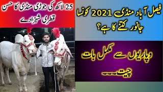 Faisalabad cow mandi 2021 6 Maan ka janwar siraf 1.5 lakh  By MBR Studio