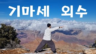 170-1. 외수(바깥 손날)로 밀기(전면)  ㅣ양생 기화법 ㅣ국선기공 ㅣ기초동작 ㅣ기마자세 ㅣKouksundo ㅣKi gongㅣQi gongㅣBasic movement