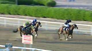 Sharjah 27 10 24 Race 6