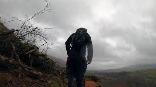 Latrigg Woods Keswick Nov 2019