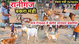 मात्र ₹7000 में खरीदे शानदार बकरियां 🐐🐐 |Raniganj Bakra Mandi 15/10/24 |Raniganj ki Bakri bazar