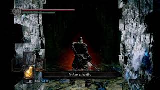 Ds1 gaming DLC