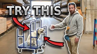 Why You Should Train Your Dog at Lowes