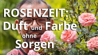 ROSENZEIT: So gibt es DUFT und FARBEN ohne SORGEN!