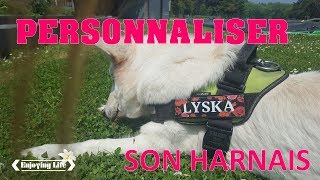 CUSTOMISER SON HARNAIS JULIUS K9 ET AUTRES ✿ Enjoying Life