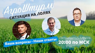 АГРОШТУРМ | Ситуация на полях