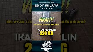 kekuatan nelayan🤩 marlin 220Kg #fishing #mancingmania #angler #mancing #jigging #strike #funnyvideos