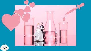 Die Chemie der Liebe