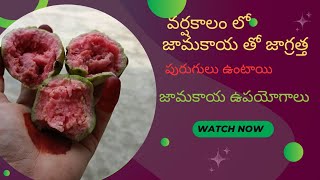 Uses of Guava fruit #viralvideo #trendingshorts#subscribe#like🍐🍏