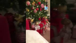 Natale a casa di Taylor Mega