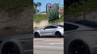 rare sighting of mustang not hitting a crowd 🫨 #mustang #car #automobile #ford #sportscar